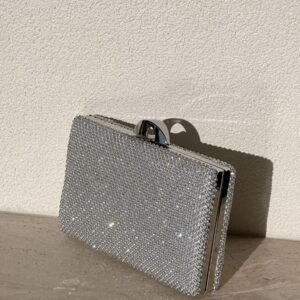 Crystal Glam Silver Evening Bag